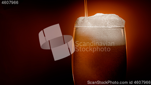 Image of Lager beer settles in the glass with a white cap of foam