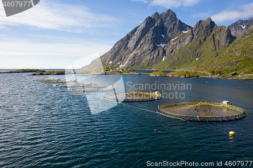 Image of Farm salmon fishing in Norway