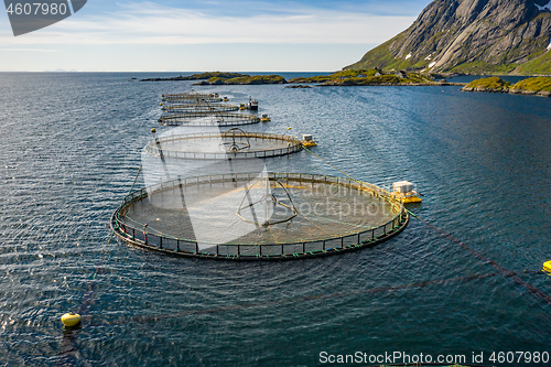 Image of Farm salmon fishing in Norway