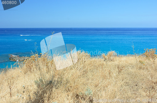 Image of Tropea dry grass