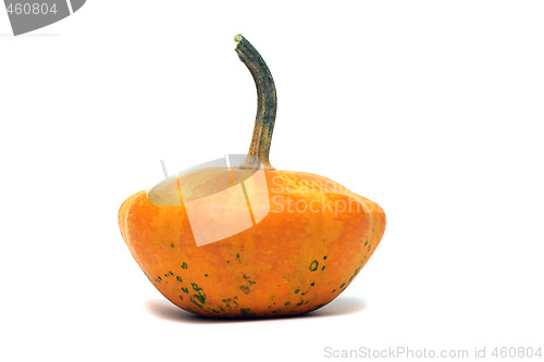Image of Fancy pumpkin