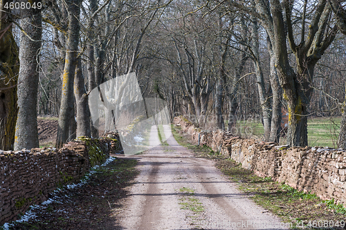Image of Country road surrounded by dry stone walls