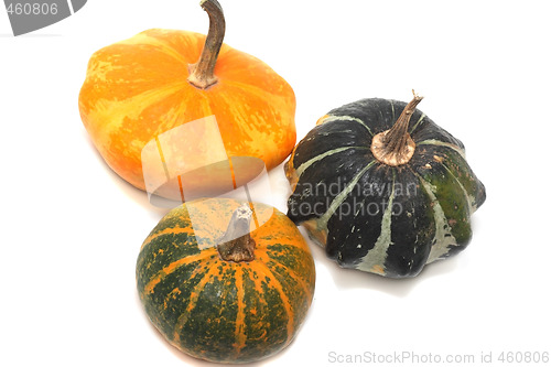 Image of Three fancy pumpkins