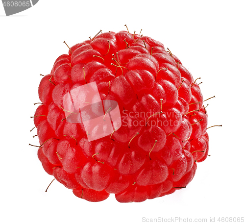 Image of raspberry macro on white background