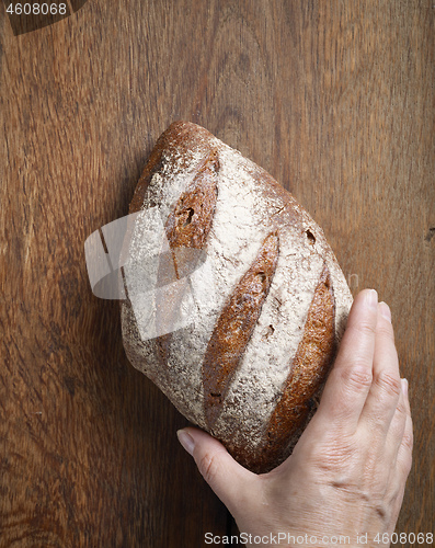 Image of freshly baked bread