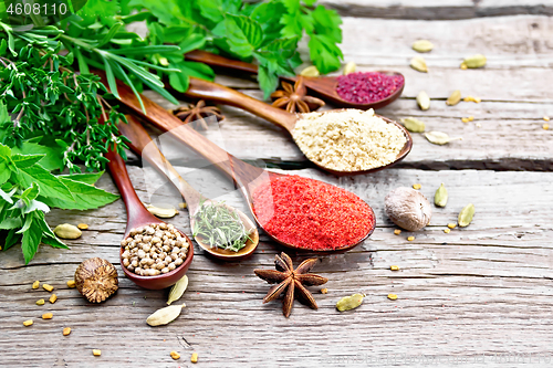 Image of Spices in spoons on wooden board