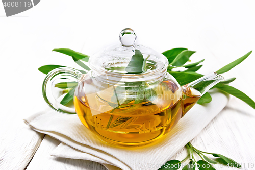 Image of Tea herbal with sage in teapot on light board