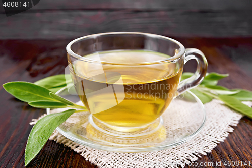 Image of Tea herbal with sage in glass cup on dark board