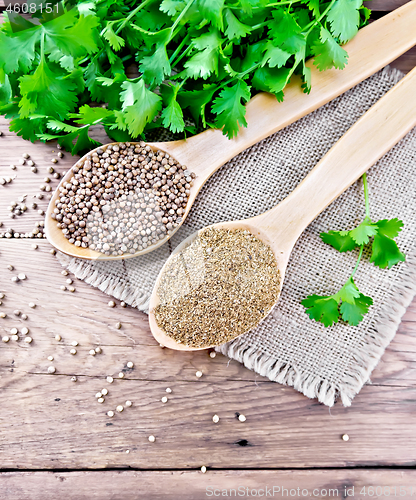 Image of Coriander ground and seeds in two spoons on old board top