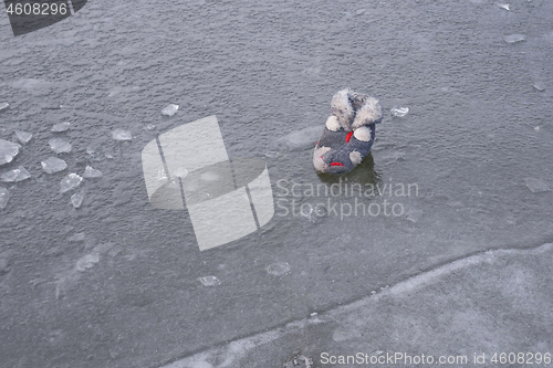 Image of Fluffy obsolete slipper on the frozen water surface