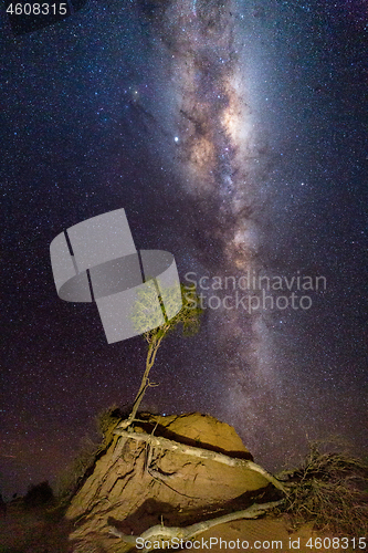 Image of Milky Way galaxy shining brightly over arid Australia