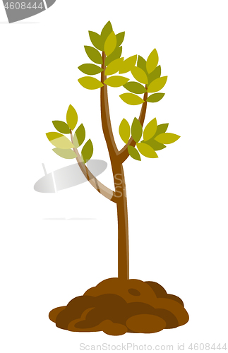 Image of Tree growing in the soil vector illustration.