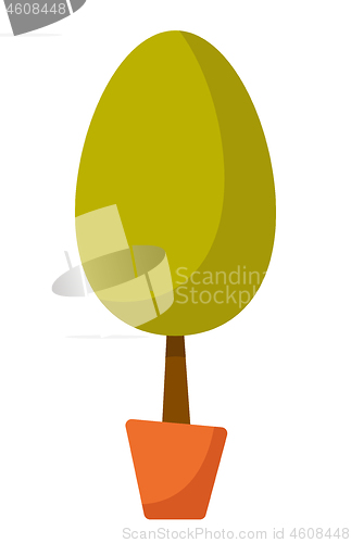 Image of Young tree in a pot vector cartoon illustration.