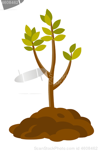 Image of Tree growing in the soil vector illustration.