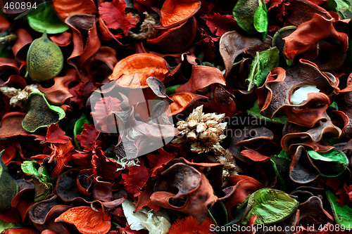 Image of Potpourri