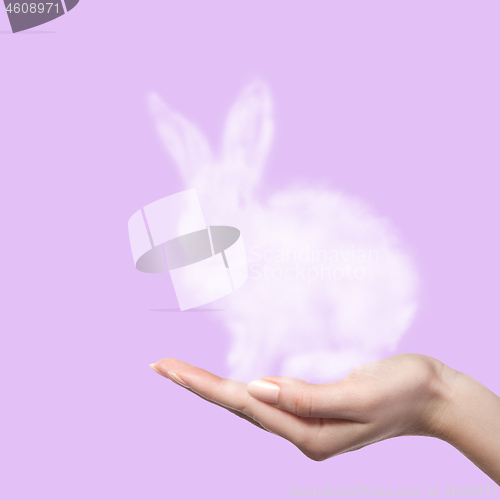 Image of Rabbit from the cloud in the woman\'s hand. Easter concept