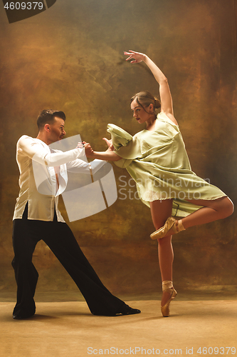 Image of Flexible young modern dance couple posing in studio.