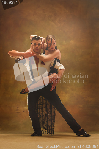 Image of Flexible young modern dance couple posing in studio.