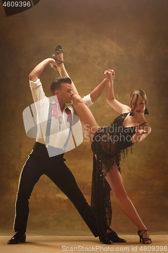 Image of Flexible young modern dance couple posing in studio.