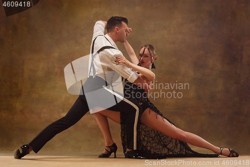 Image of Flexible young modern dance couple posing in studio.