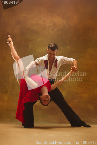 Image of Flexible young modern dance couple posing in studio.