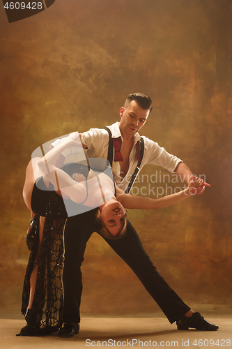 Image of Flexible young modern dance couple posing in studio.