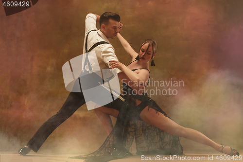 Image of Flexible young modern dance couple posing in studio.