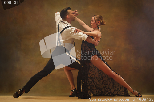 Image of Flexible young modern dance couple posing in studio.