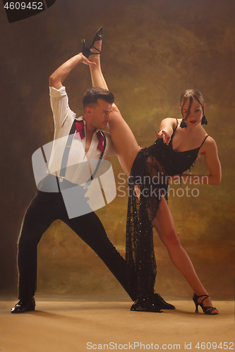 Image of Flexible young modern dance couple posing in studio.