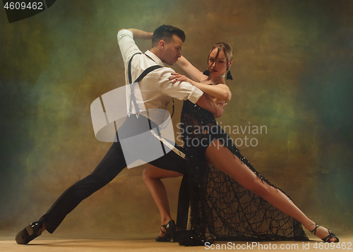 Image of Flexible young modern dance couple posing in studio.