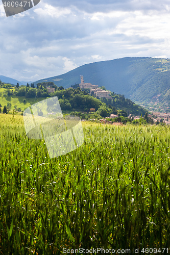 Image of Camerino in Italy Marche over colourful fields
