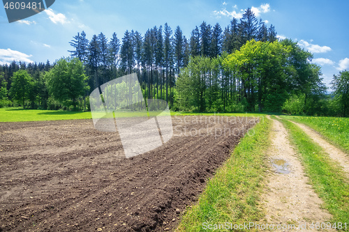 Image of path in a green meadow nature scenery landscape