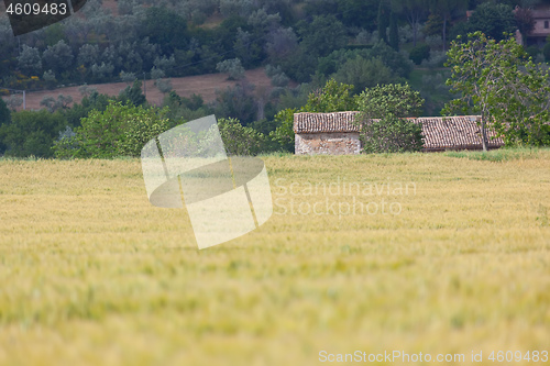 Image of landscape mood in Italy Marche