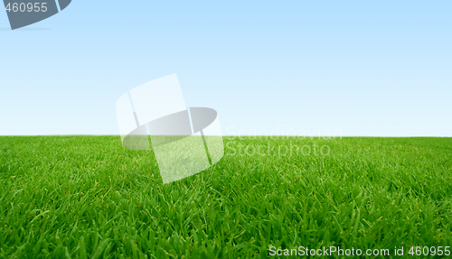 Image of Green Field