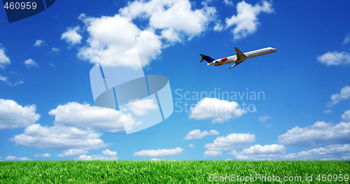 Image of Airplane over grassy field