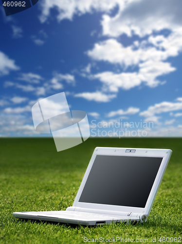 Image of white laptop in nature