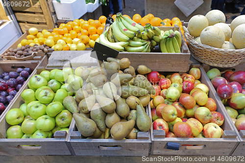 Image of Fruits in Crates