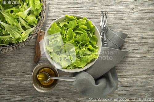 Image of Green salad