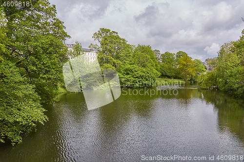 Image of Green trees in a park