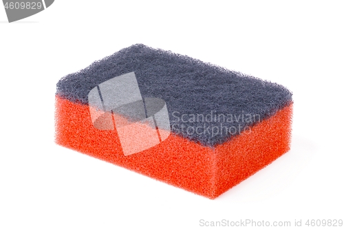 Image of Sponge isolated on white