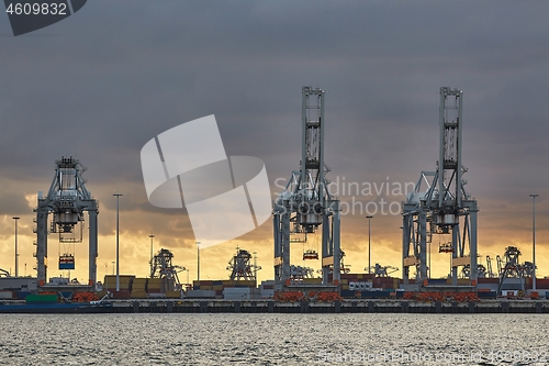 Image of Container Dock in Rotterdam