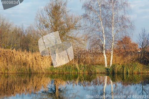 Image of Water surface with trees