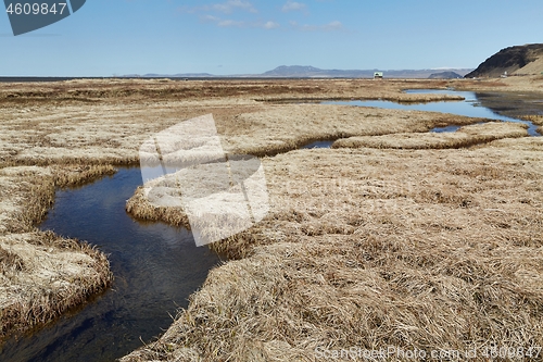 Image of Little Creek Flowing