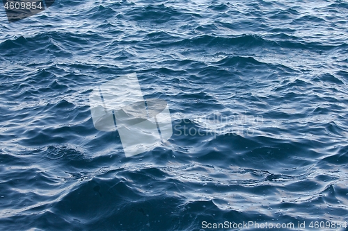 Image of Water Surface Ripples