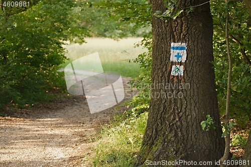 Image of Hiking trail signs