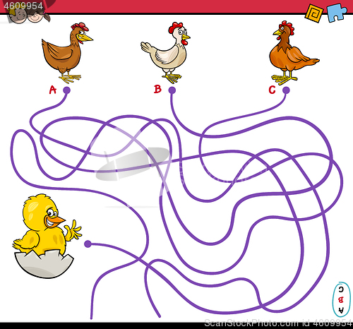 Image of path maze activity with chickens