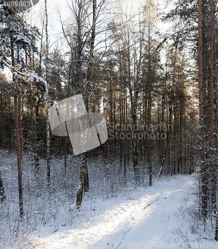 Image of Snow drifts in winter