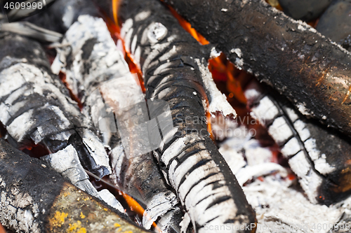 Image of coals and burned tree