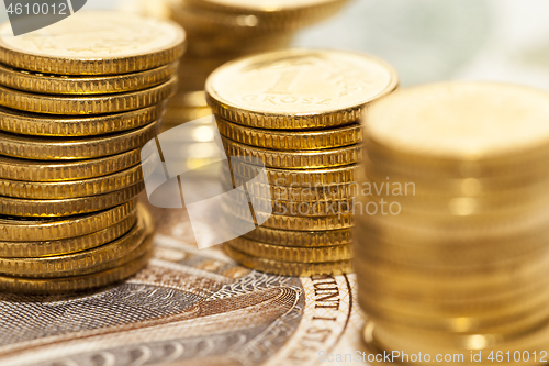 Image of Polish money, close-up