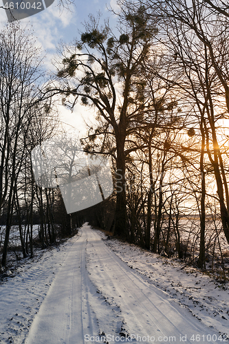 Image of countryside road